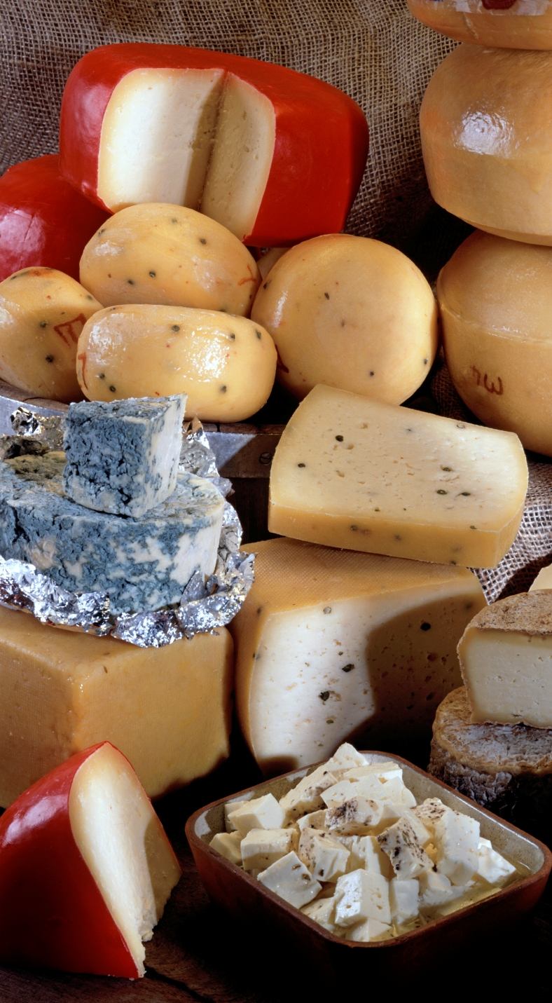 AT_Case_iStock_Cheese_Medium[2].jpg