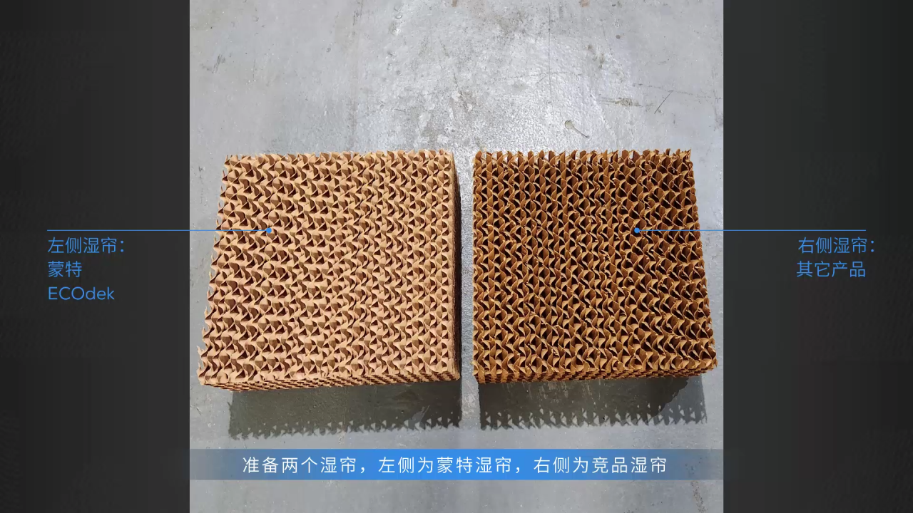 實驗
